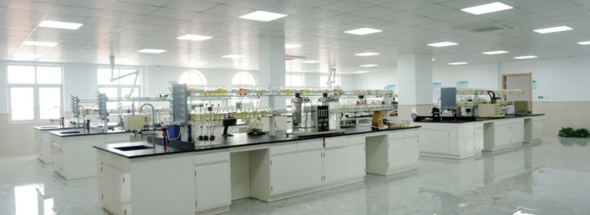 海洋之神_官方网站